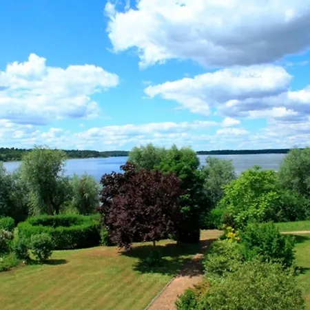 Turmfalke Mit Mueritzblick