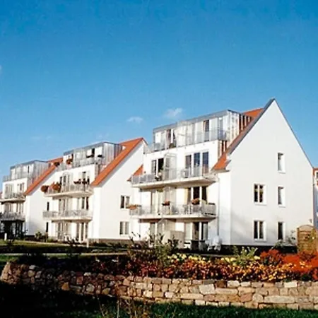 Turmfalke Mit Mueritzblick 瓦伦